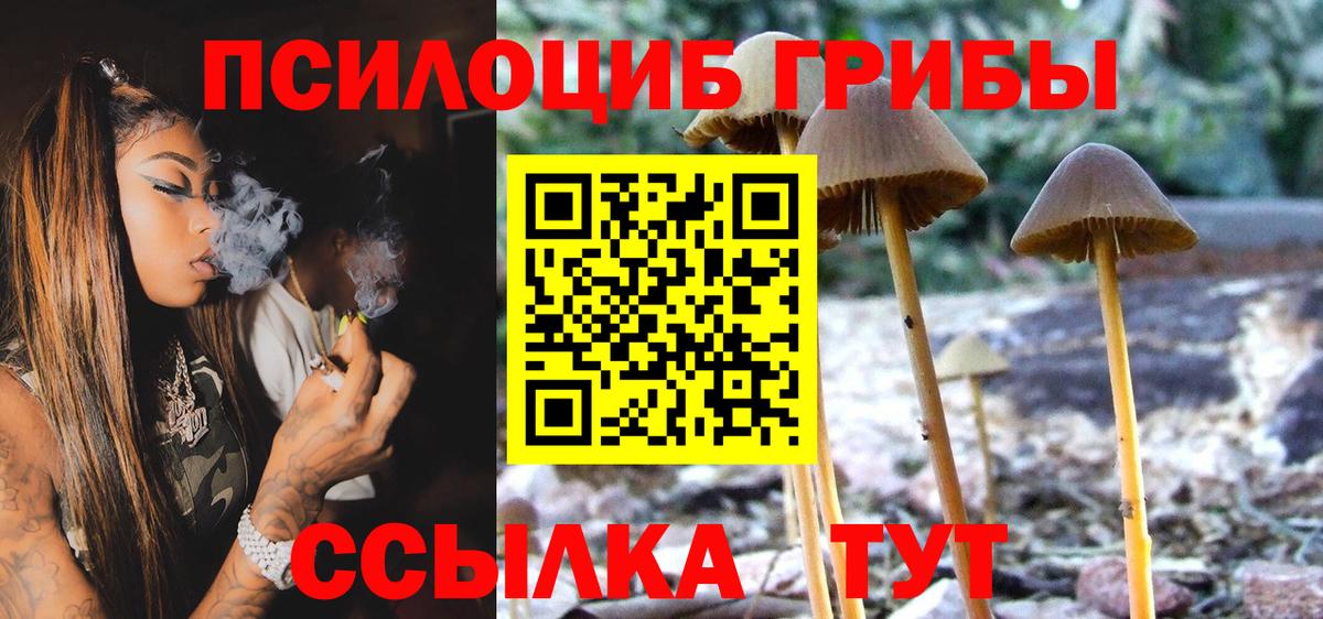 Псилоцибиновые грибы мицелий Альметьевск