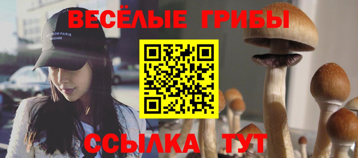 Псилоцибиновые грибы Psilocybe  Вход с VPN  Альметьевск  Псилоцибиновые грибы Psilocybine cubensis 